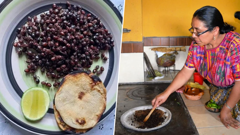 Los zompopos de mayo ponen el sabor en la cocina guatemalteca